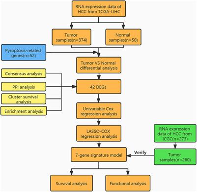 The Pyroptosis-Related Gene Signature Predicts the Prognosis of Hepatocellular Carcinoma